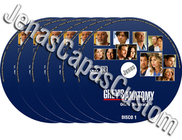 Grey's Anatomy - 8ª Temporada