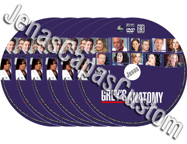 Grey's Anatomy - 6ª Temporada