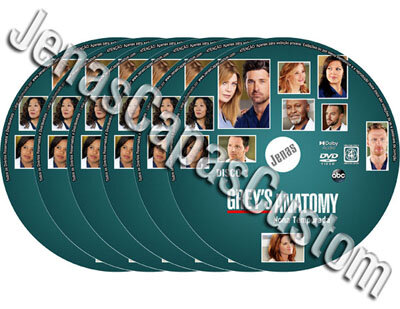 Grey's Anatomy - 9ª Temporada