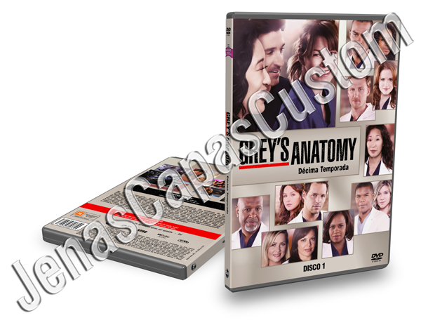 Grey's Anatomy - 10ª Temporada