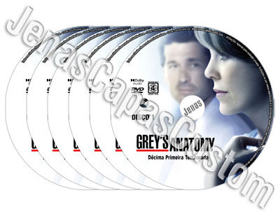 Grey's Anatomy - 11ª Temporada