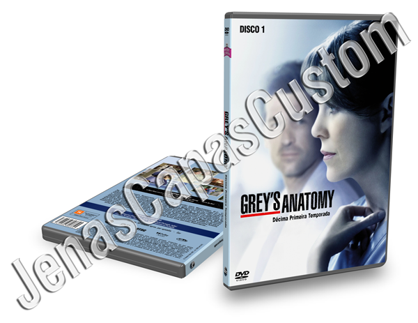 Grey's Anatomy - 11ª Temporada