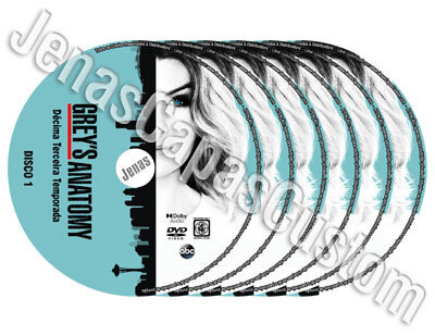 Grey's Anatomy - 13ª Temporada