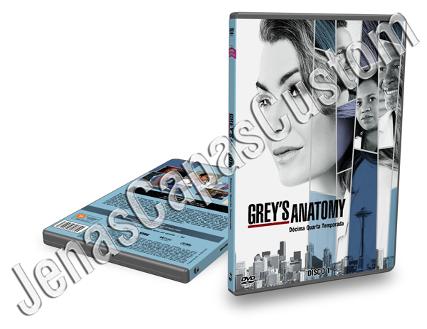Grey's Anatomy - 14ª Temporada