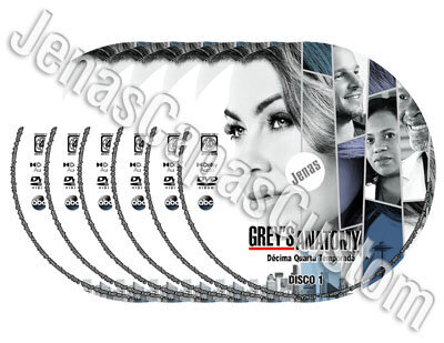 Grey's Anatomy - 14ª Temporada