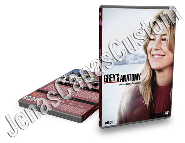 Grey's Anatomy - 15ª Temporada