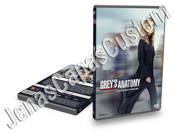 Grey's Anatomy - 16ª Temporada