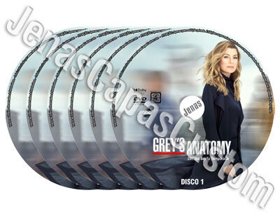 Grey's Anatomy - 16ª Temporada