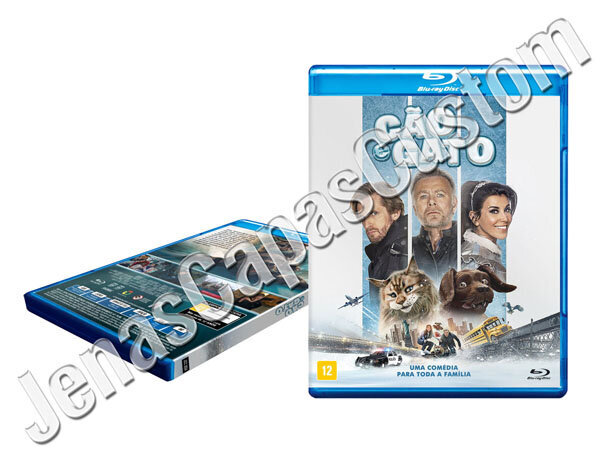 Cão E Gato