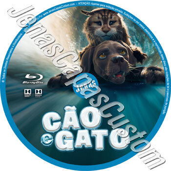 Cão E Gato