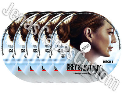 Grey's Anatomy - 17ª Temporada