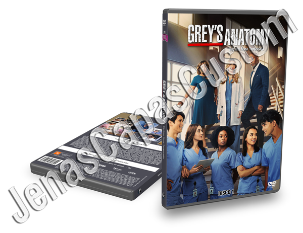 Grey's Anatomy - 19ª Temporada