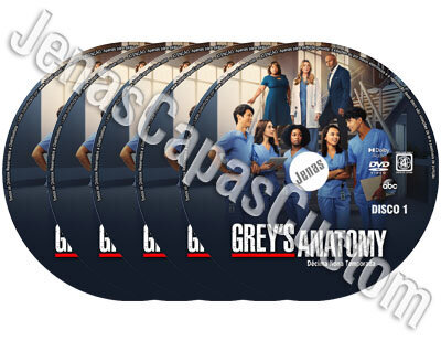 Grey's Anatomy - 19ª Temporada