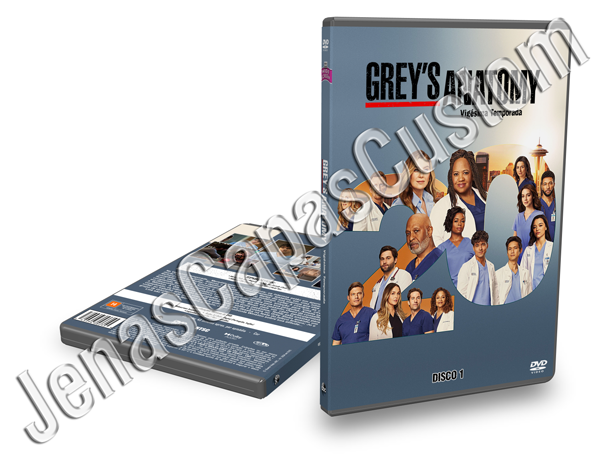 Grey's Anatomy - 20ª Temporada