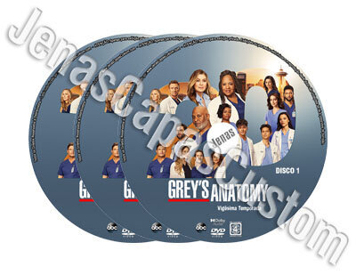 Grey's Anatomy - 20ª Temporada