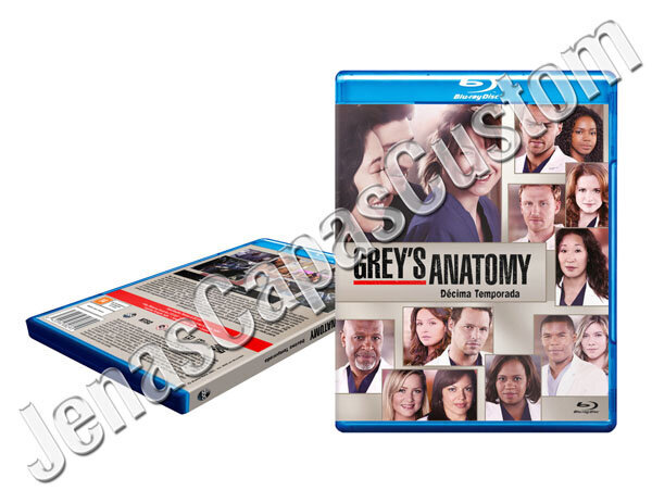 Grey's Anatomy - 10ª Temporada