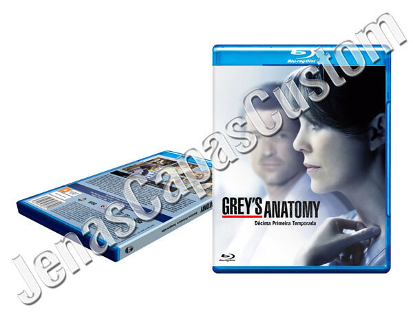 Grey's Anatomy - 11ª Temporada