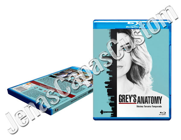 Grey's Anatomy - 13ª Temporada