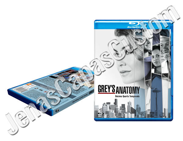 Grey's Anatomy - 14ª Temporada