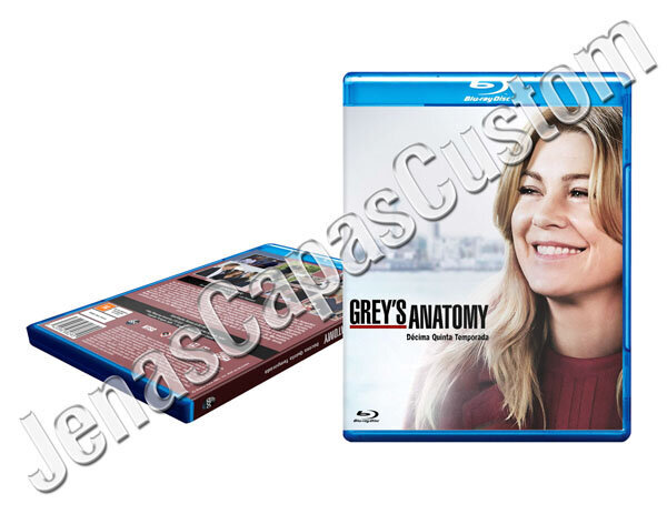 Grey's Anatomy - 15ª Temporada