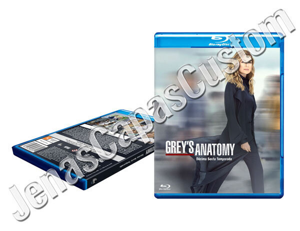 Grey's Anatomy - 16ª Temporada