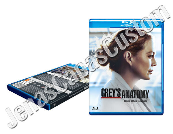 Grey's Anatomy - 17ª Temporada