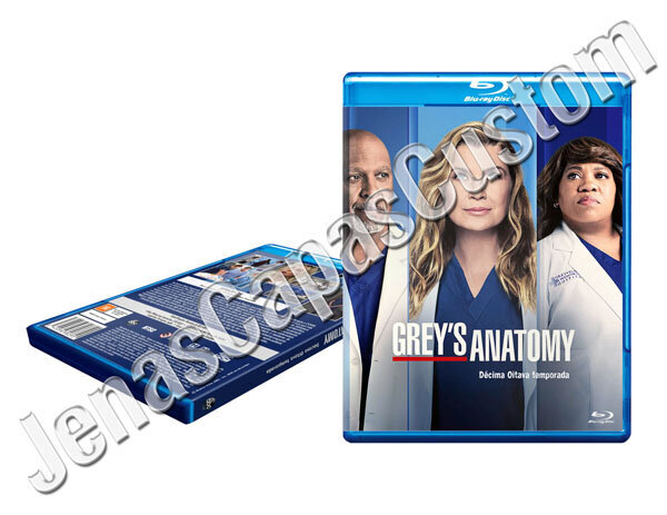 Grey's Anatomy - 18ª Temporada