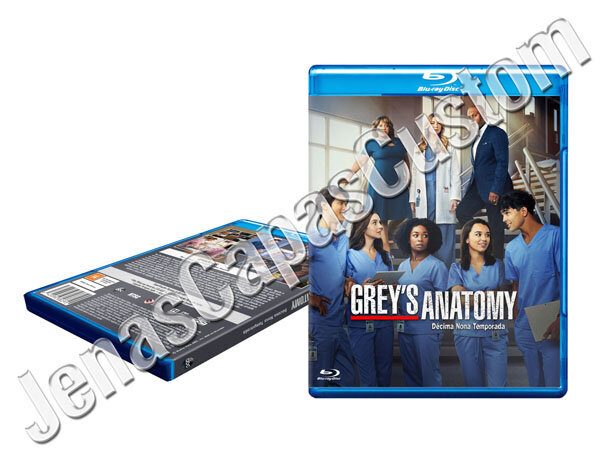 Grey's Anatomy - 19ª Temporada
