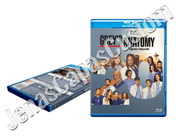 Grey's Anatomy - 20ª Temporada