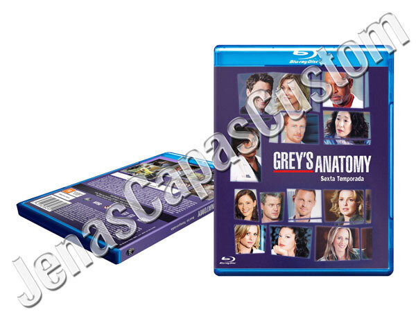Grey's Anatomy - 6ª Temporada