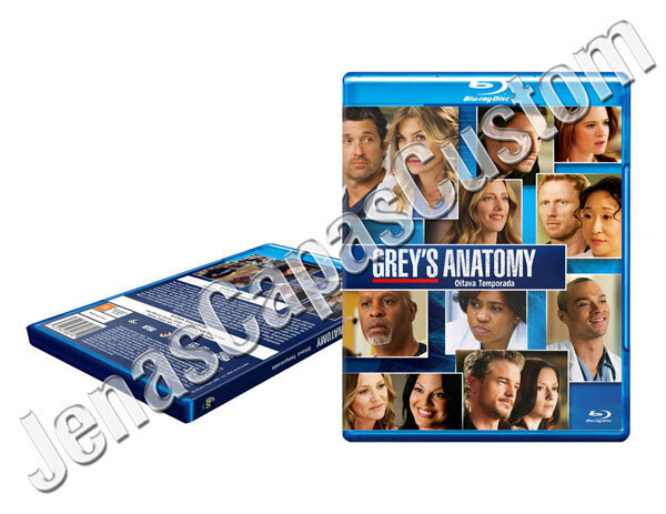 Grey's Anatomy - 8ª Temporada