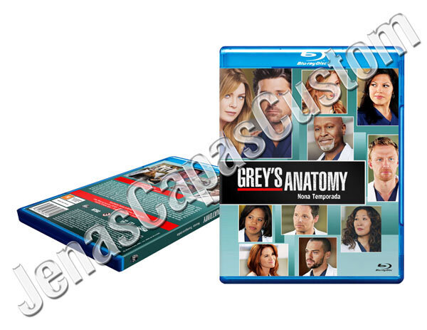 Grey's Anatomy - 9ª Temporada