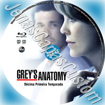 Grey's Anatomy - 11ª Temporada