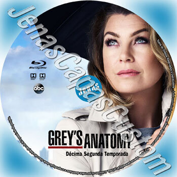 Grey's Anatomy - 12ª Temporada