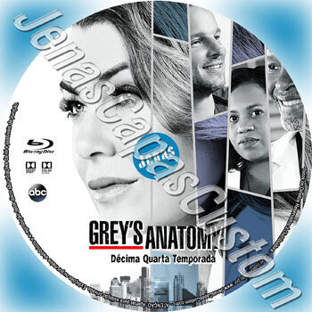 Grey's Anatomy - 14ª Temporada
