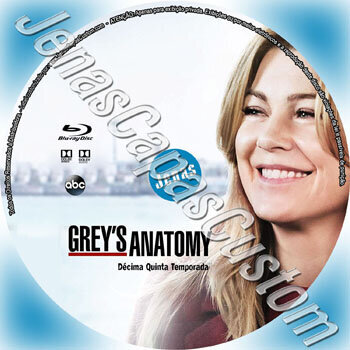 Grey's Anatomy - 15ª Temporada