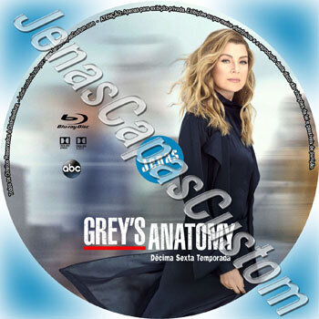 Grey's Anatomy - 16ª Temporada