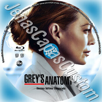Grey's Anatomy - 17ª Temporada