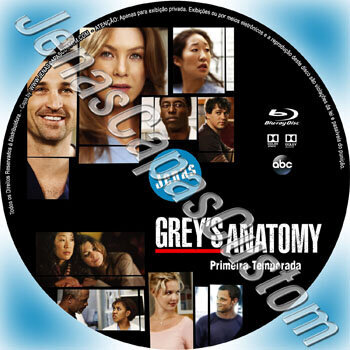 Grey's Anatomy - 1ª Temporada
