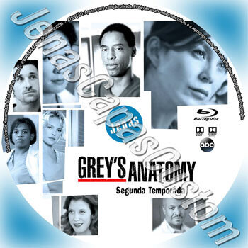 Grey's Anatomy - 2ª Temporada