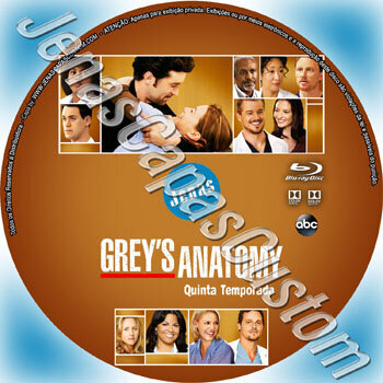 Grey's Anatomy - 5ª Temporada