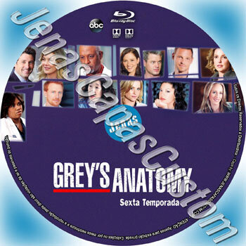 Grey's Anatomy - 6ª Temporada
