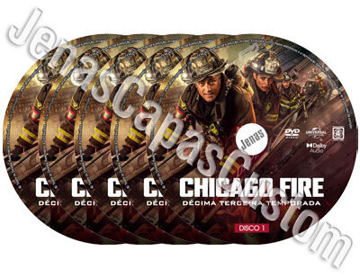 Chicago Fire - 13ª Temporada