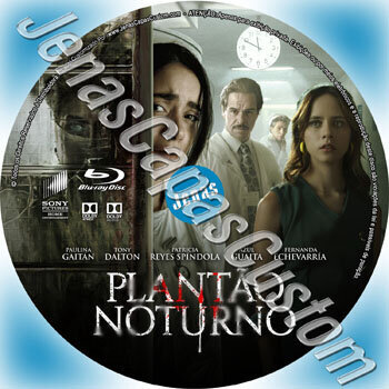 Plantão Noturno