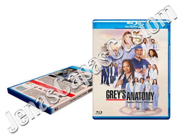 Grey's Anatomy - 21ª Temporada