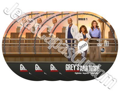 Label DVD Grey's Anatomy - 22ª Temporada