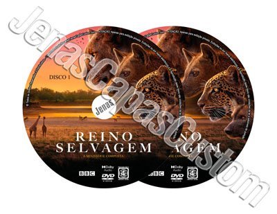 Label DVD Reino Selvagem - 1ª Temporada